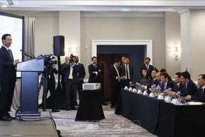 国家主席武文赏出席越美企业及地方圆桌座谈会。（图：越通社）