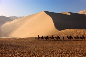 （示意图：互联网）