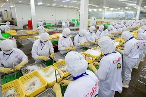 越南水产加工后外销各地。