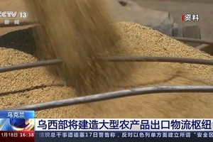 （图：CCTV 视频截图）