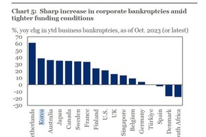 世界17国企业破产数量增速 国际金融协会（IIF）报告截图。