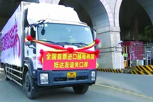 首批燕窝销往中国市场