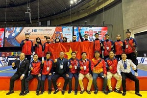 越南武术代表团。（图：互联网）