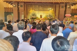 2023年11月24日简讯