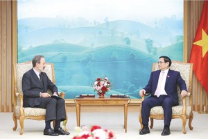 政府总理范明政接见了意大利驻越南新任大使。