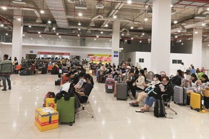 新东区车站预测2024年农历春节的乘客量将比2023年同期增加。