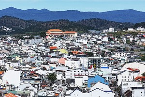 大勒市内严重缺乏绿色空间。