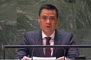 越南常驻联合国代表团团长邓黄江大使在会上发表讲话。（图：越通社）
