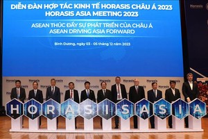 霍瑞西斯亚洲经济合作论坛开幕式一隅。（图：越通社）