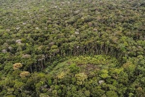 近年来，气候变化给农作物生产造成严重影响，而探明植物适应气温变化的机制对稳定粮食生产来说是一个紧迫课题。图为位于哥伦比亚沃佩斯省皮拉·巴拉那河附近原始森林，中间有一为种植粮食和古柯而开垦的区域。（图：AFP）