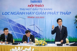 须制定促进绿色增长透明吸引投资政策