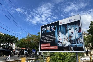 图为挂在会安市一路旁显眼位置的劝告不宜售卖及食用猫狗肉的宣传海报。（图：B.D）