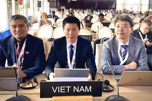 越南代表出席联合国教科文组织《保护非物质文化遗产公约》（2003年公约）政府间委员会第十八届会议。（图：越通社）