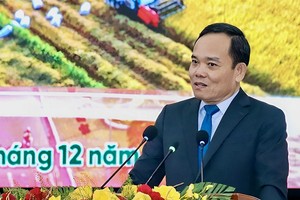 陈留光副总理在会上致词。（图：周英）