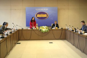 外交部副部长黎氏秋姮（站）主持会议。（图：进英）
