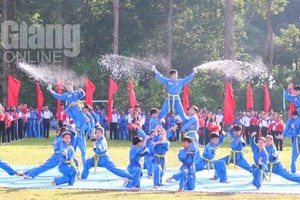 图为2023年第八届后江省扶董运动会开幕仪式越武道表演一幕。（图：后江报）