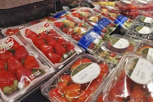 12月21日，英国伦敦高级百货公司哈罗德开始销售日本栃木县和奈良县产的草莓。（图：共同社）