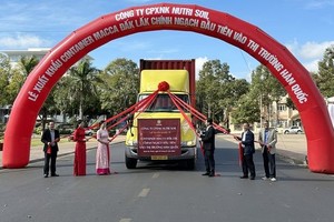 首批夏威夷豆输往韩国