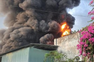 平阳省及时扑灭泡沫工厂火警