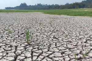 这是2023年11月17日在巴西亚马孙州阿卡贾图巴湖畔拍摄的干旱土地。（图：新华社）