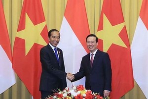 越南国家主席武文赏与印尼总统佐科·维多多举行会谈