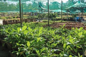 可持续发展无烟工业