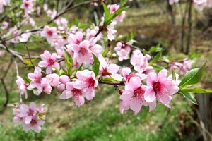 （示意图：互联网）