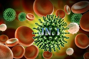 （示意图：互联网）