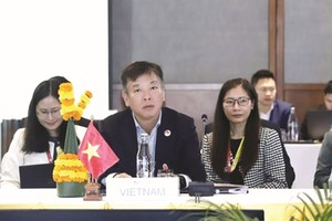 东盟高官会越南代表团代团长武胡大使。（图：越通社）