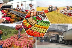 1月份农林水产出口增长近80%。（示意图：互联网）