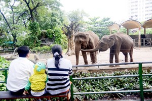 父母抽出时间陪同儿女会使双方感情联系更加密切。