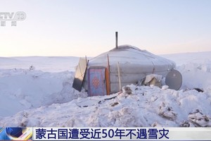 （图：CCTV 视频截图）