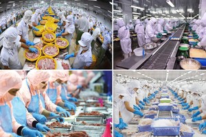 水产加工。（示意图：互联网）