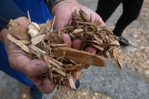 日本的一些公司正研究利用木材废料生产乙醇并计划自2027年开始量产。（示意图：互联网）