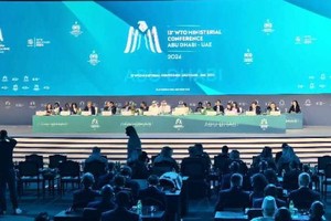 在当天的会议上，世贸组织第十三届部长级会议主席宰尤迪敲锤通过科摩罗和东帝汶成为世贸组织成员。目前世贸组织成员从164个增加至166个。（图：互联网）