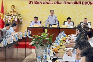 建设部长阮清毅（站）在会议上发表讲话。（图：春梅）