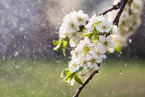 （示意图：互联网）