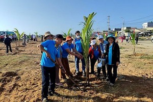 “2021-2025年种植10亿棵树”提案展开落实3年后，越南已完成计划的121.4%。（图：武霞