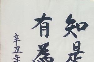 杨南发书法作品欣赏