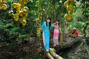 游客参观了解平阳省一田园旅游线，享受果园采果乐趣。（图：平阳报）