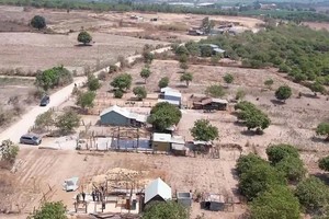 大片农林地面积被当地少数民族居民非法侵佔违建住房。（图：越通社）