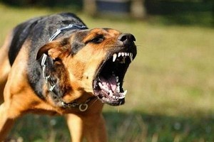 （示意图：互联网）