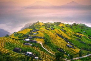 （示意图：互联网）