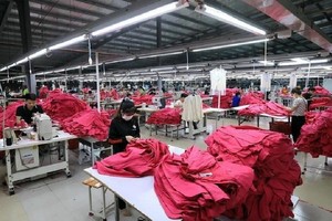 2023年，清化省约2万1000家企业正在活动，其中，中小企业占近八成。（图：越通社）