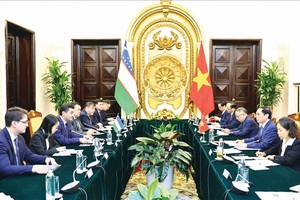 越南与乌兹别克斯坦加强合作