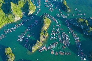 摄影为宣传和促进越南旅游业做出了巨大贡献。图为从空中俯瞰的兰下湾美景。