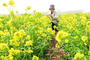 （示意图：互联网）