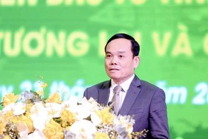 陈留光副总理发表指导会议。（图：越通社）