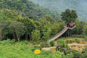 “睡眠旅遊”新趋势兴起
