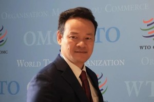 越南常驻联合国代表团团长、特命全权大使梅潘勇。（图：越通社）